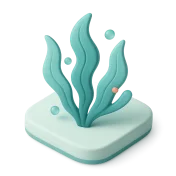Ilustración de Algas marinas
