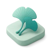 Ilustración de Ginkgo biloba